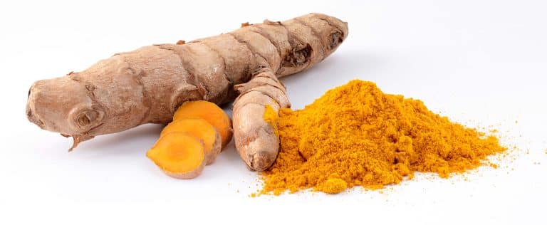 Le curcuma comme agent anti-cancérigène