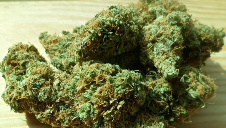 Le cannabis aiderait à réduire l&rsquo;IMC (Indice de Masse Corporelle)