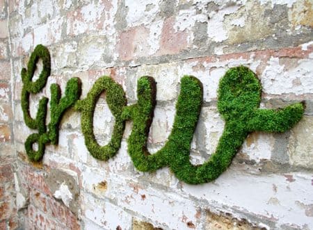 Idée déco : le graffiti en mousse, comment le faire chez vous ? Graffiti en mousse végétale, bricolage, décoration maison