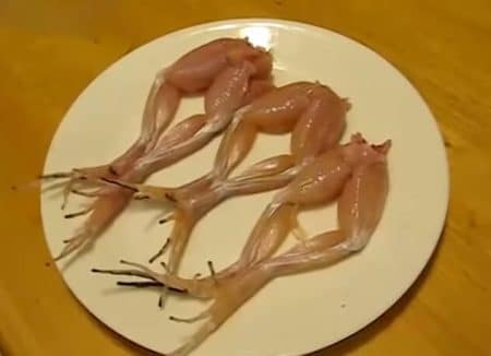 grenouilles-sel