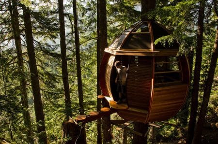 Maisons construites dans les arbres extraordinaires