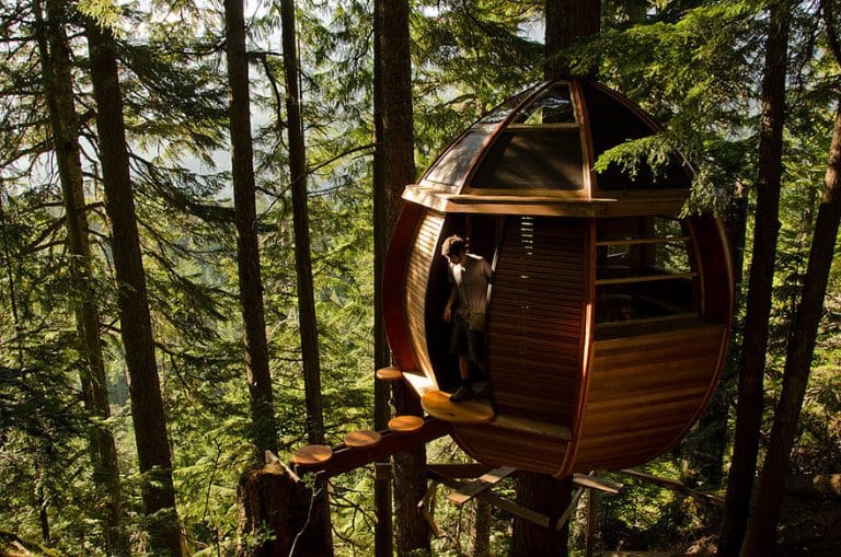 Ces 17 maisons construites dans des arbres sont extraordinaires