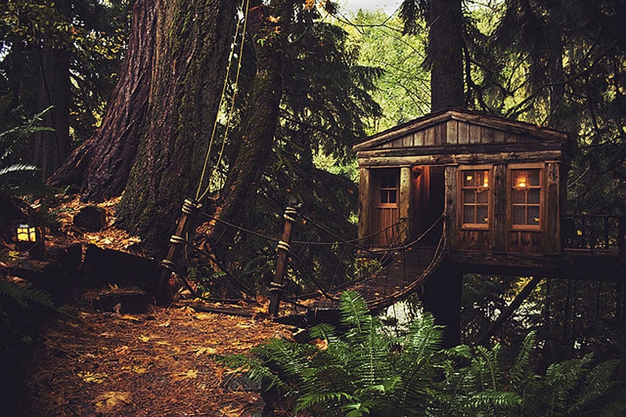 Maisons construites dans les arbres extraordinaires
