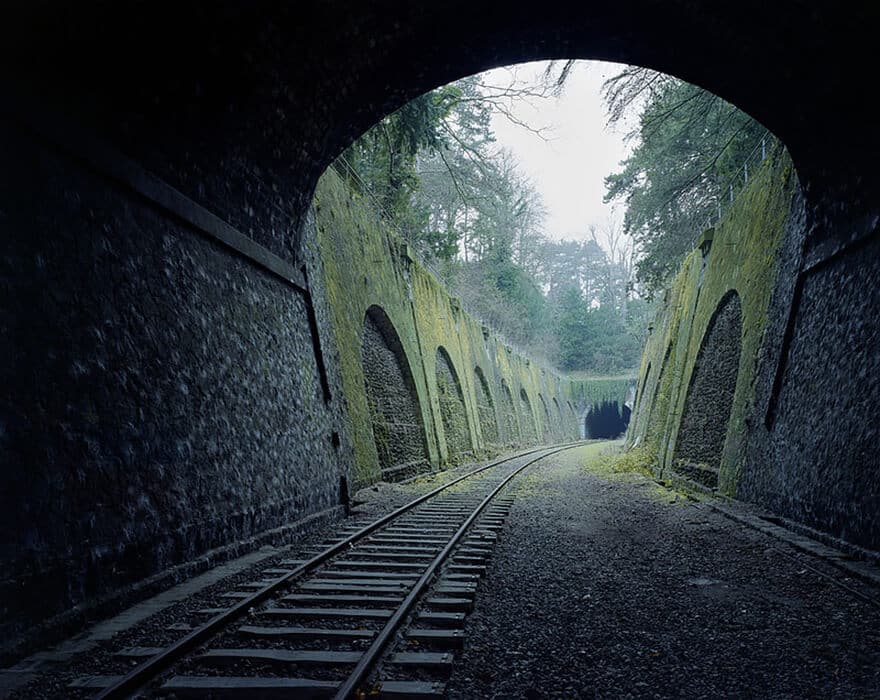 Nature reprend ses droits et gagne son combat contre civilisation