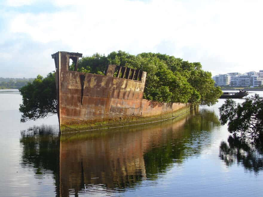 Nature reprend ses droits et gagne son combat contre civilisation