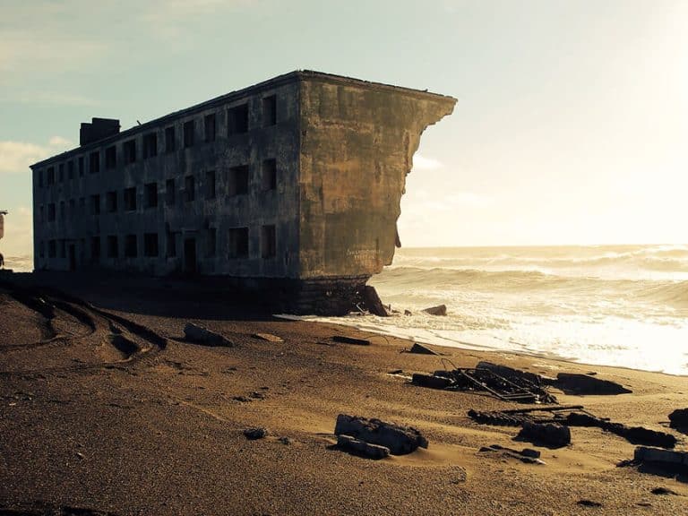 21 photos de la nature gagnant son combat contre la civilisation