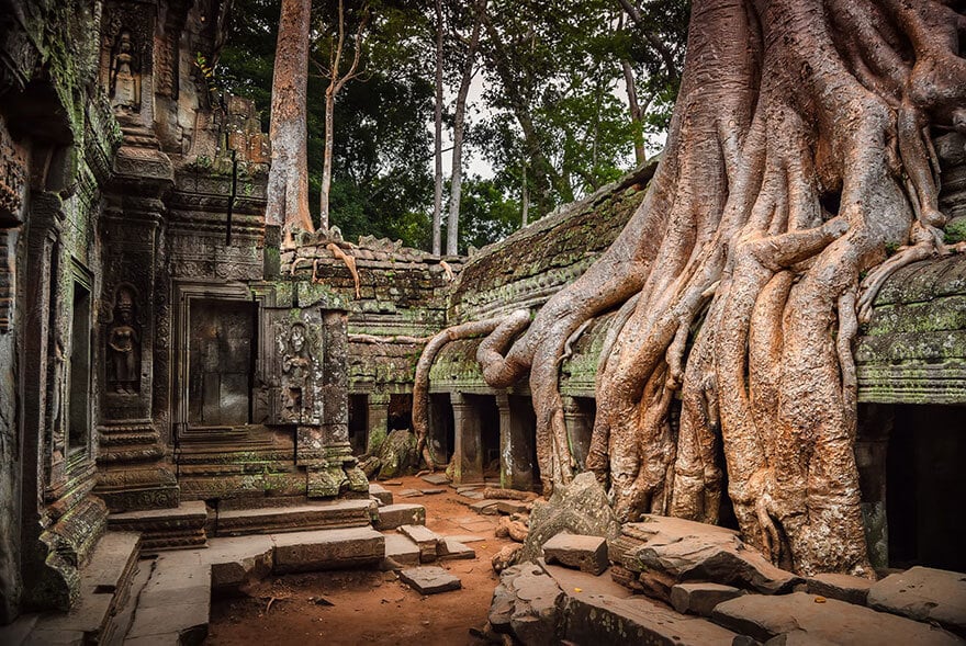 Nature reprend ses droits et gagne son combat contre civilisation