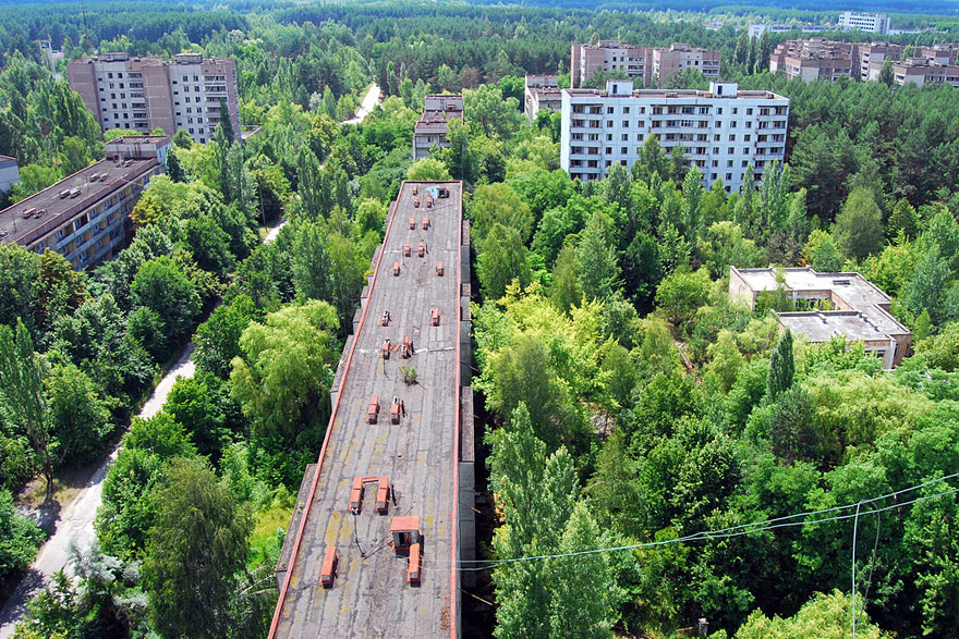 Nature reprend ses droits et gagne son combat contre civilisation