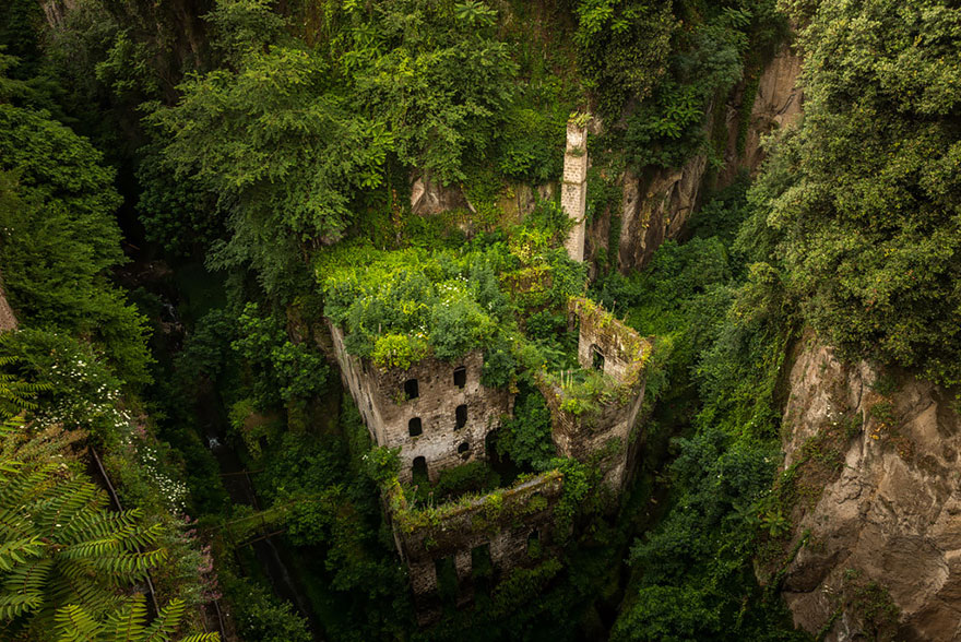 Nature reprend ses droits et gagne son combat contre civilisation