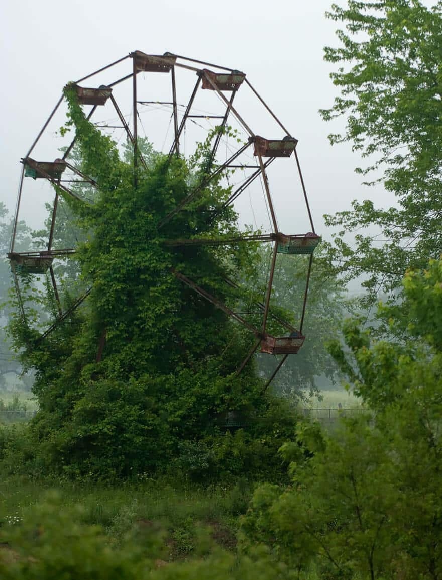 Nature reprend ses droits et gagne son combat contre civilisation