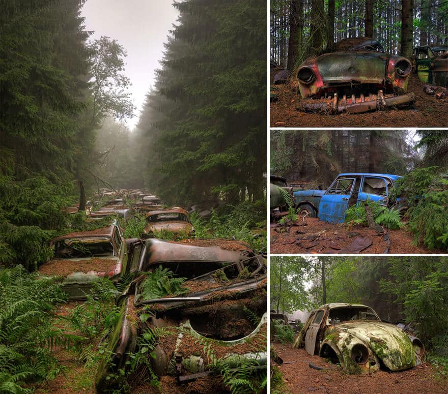 Nature reprend ses droits et gagne son combat contre civilisation