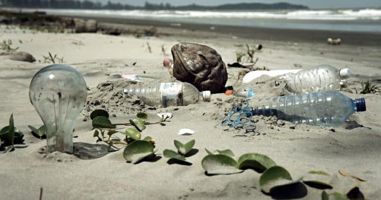 Il y a au moins 5,25 billions de morceaux de plastique dans l&rsquo;océan