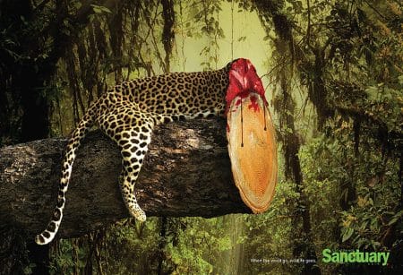 Des affiches choquantes pour lutter contre la déforestation