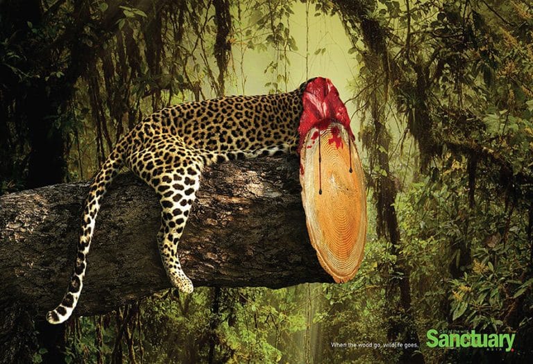 Des affiches choquantes pour lutter contre la déforestation