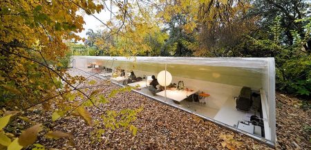 Ce bureau donne l’impression aux employés de travailler en pleine forêt Selgas Cano, bureaux design sous-terre à Madrid