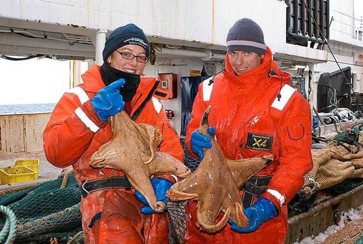 Animaux de taille et de poids incroyables, gros et grands