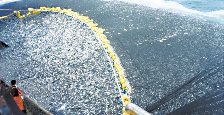 35 faits sur la pêche qui vont vous passer l&rsquo;envie de manger du poisson