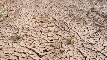 2014 a été l’année la plus chaude jamais enregistrée sur Terre Terre sèche réchauffement climatique