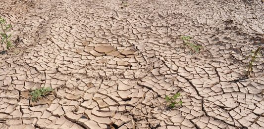 Terre sèche réchauffement climatique