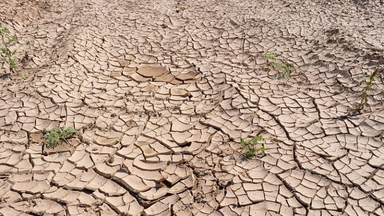 2014 a été l&rsquo;année la plus chaude jamais enregistrée sur Terre