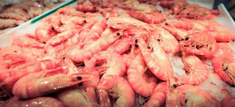 Les bienfaits santé et beauté de l&rsquo;astaxanthine naturelle