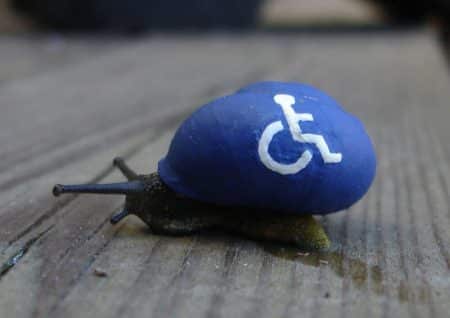 Escargot peinture coquille