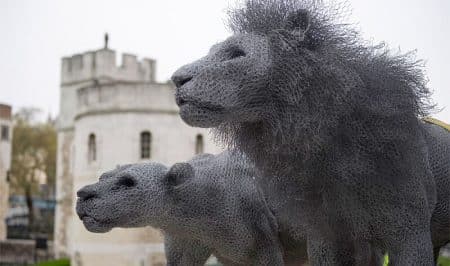 L’artiste Kendra Haste et ses sculptures animales en grillage Kendra Haste, sculpture d'animaux en grillage