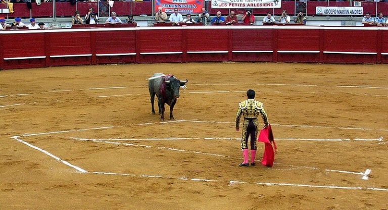 10 idées reçues et légendes urbaines sur la vie animale