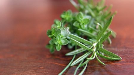 Thym, cultiver plantes aromatiques