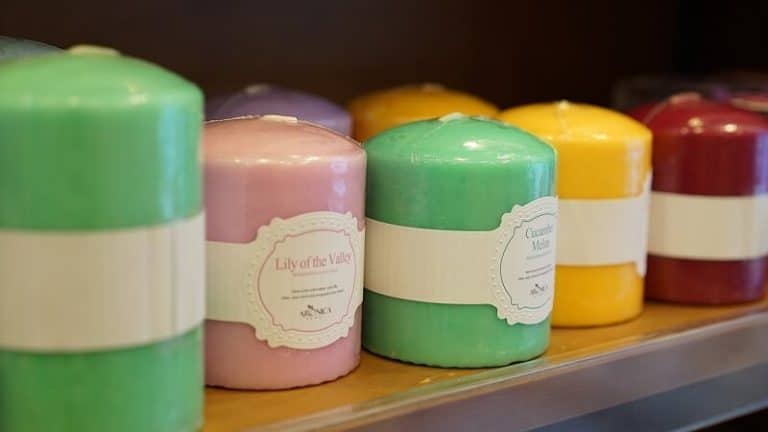 Aromathérapie : la quintessence des plantes au service de tous les maux