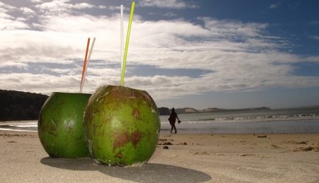 Les 10 bienfaits de la noix de coco Bienfaits de la noix de coco, lait, eau, chair