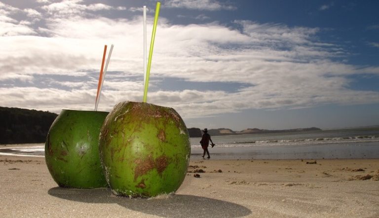 Les 10 bienfaits de la noix de coco