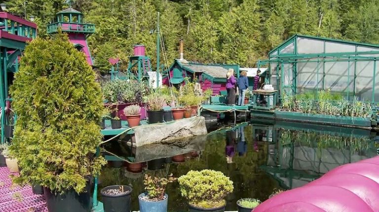 Ce couple a construit Freedom Cove : une île écologique et autosuffisante