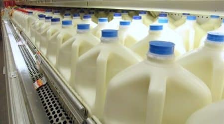 Lait, brique, intolérance