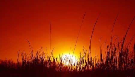 Canicule: tous les conseils pour y faire face et garder la tête froide ! Canicule, chaleur en France, 2015