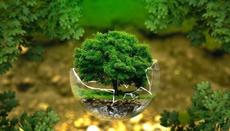 éducation à l'environnement