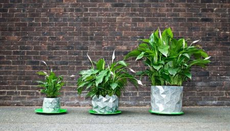 Growth, pot de fleur en origami qui grandit avec la plante