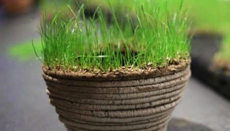 print green, imprimante 3d, herbe