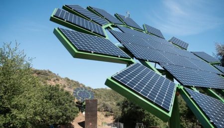 Tournesols solaires, James Cameron