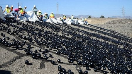 Los angeles, réservoir, balles noires