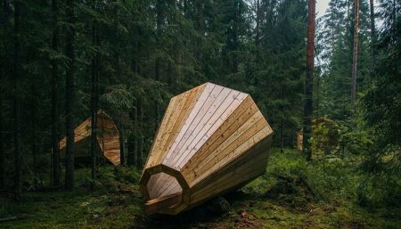 Estonie: ils construisent des mégaphones géants en bois pour écouter la forêt mégaphones, forêt, Estonie