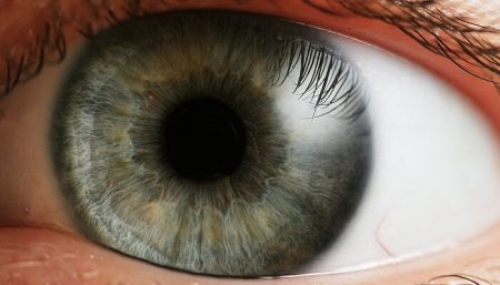 cyclope, oeil