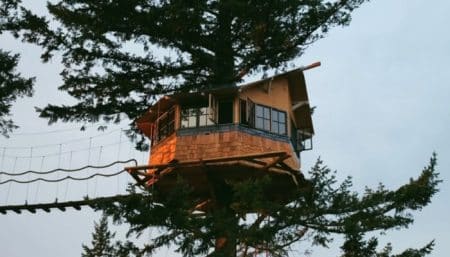Il construit la plus cool des cabanes dans les arbres Foster Huntington, cabane, arbre