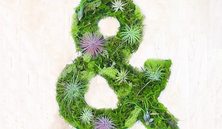 Nouvelle tendance déco, le Green Graffiti ! green graffiti, art végétal
