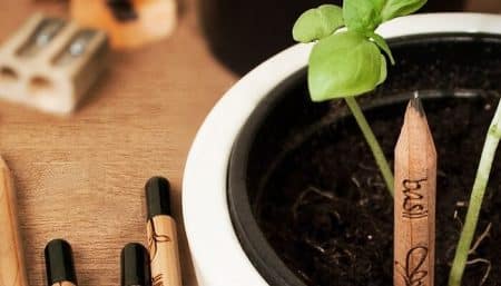 Sprout, le crayon qui pousse Sprout, crayon qui pousse