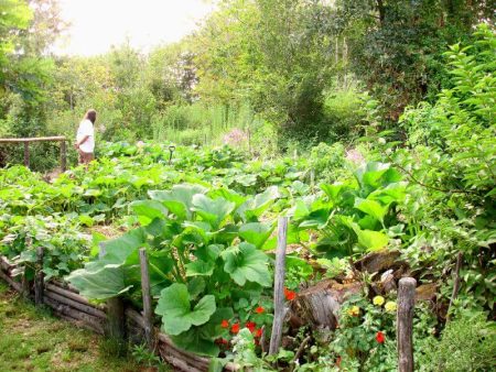 Permaculture: utopie ou alternative crédible ? permaculture