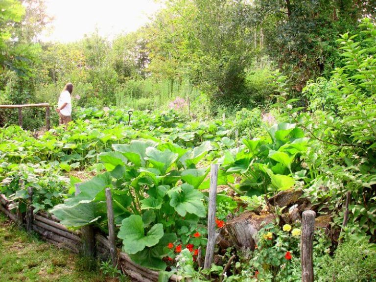 Permaculture: utopie ou alternative crédible ?