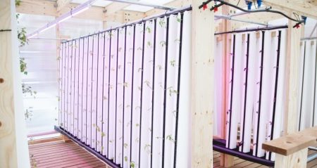 « Impact Farm », la ferme citadine écologique ferme, urbaine, ecologique