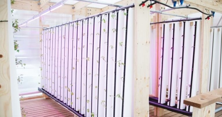 « Impact Farm », la ferme citadine écologique