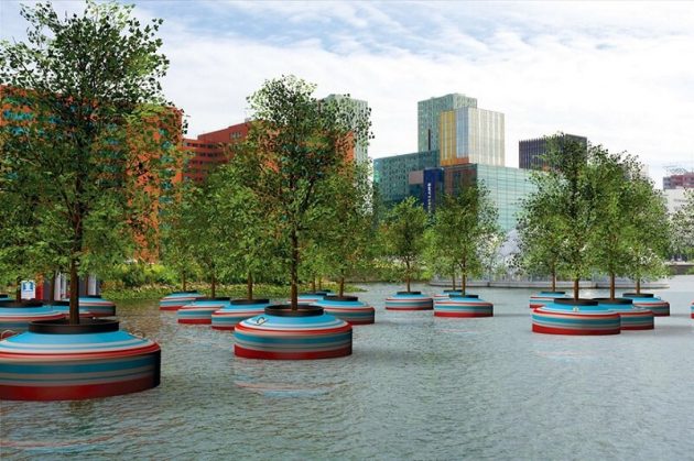 Une forêt flottante installée à Rotterdam Forêt flottante, Rotterdam, Pays-Bas